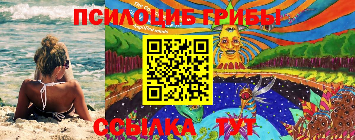 Галлюциногенные грибы GOLDEN TEACHER  Вход с VPN  Ялуторовск  где купить наркоту  Псилоцибиновые грибы Magic Shrooms 